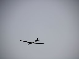 fliegen0903 23